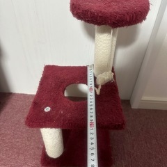 キャットタワー (小)の画像