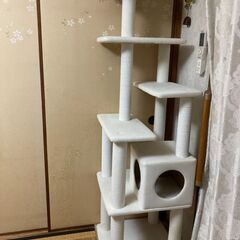 猫タワーの画像