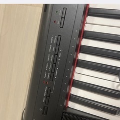 YAMAHA piaggero NP-12の画像