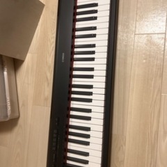 YAMAHA piaggero NP-12の画像