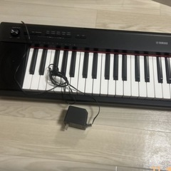 YAMAHA piaggero NP-12の画像