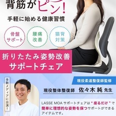 ◎美品　姿勢サポート LASSE MOAの画像