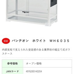 パンテオン6035の画像