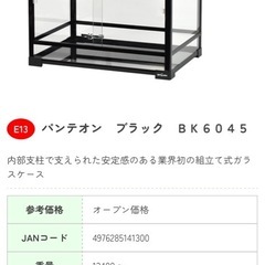 パンテオン6045の画像