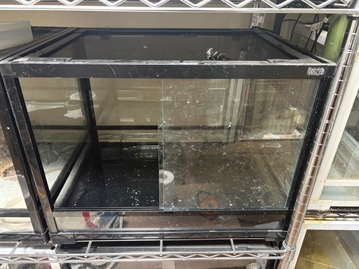 爬虫類パンテオン6045