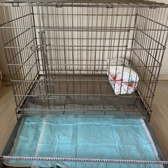 ペットケージ、ステンレスの画像