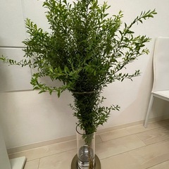 枝ものの花瓶の画像