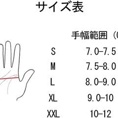 未使用　ROCKBROS サイクルグローブ　サイズ：L　ブラック　裏起毛　防寒保温　秋冬用の画像