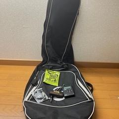 エレアコ　epiphone lespaul standard の画像