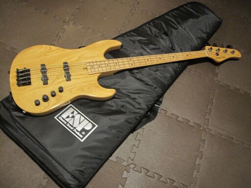 楽器 SCHECTER TX-NTL