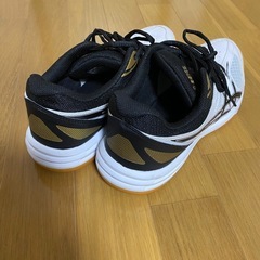 体育館シューズ　26cmの画像