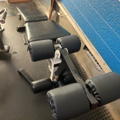 フィットネスマシン マルチポジションレッグエクステンション,カール,他の画像