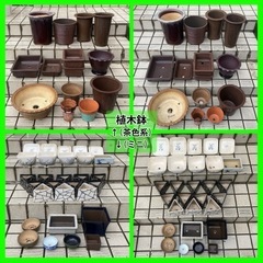 【11/19更新・まとめ売り】植木鉢いろいろ＋残土・庭石など 好きなだけどうぞの画像