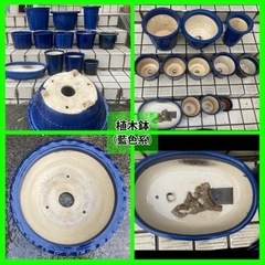 【11/19更新・まとめ売り】植木鉢いろいろ＋残土・庭石など 好きなだけどうぞの画像