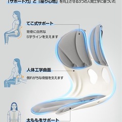 姿勢矯正 骨盤矯正 腰痛 座椅子　整体の画像