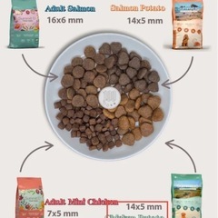 スペイン産　ドッグフード　9キロ　訳ありの画像