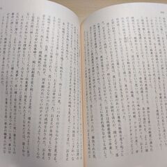 『ゴースト・トラップ』ナンシー・Ａ・コリンズ　ハヤカワ文庫の画像