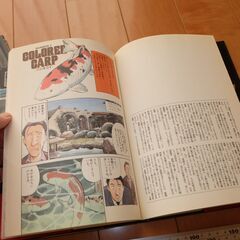 キートン・マスターズ・ブック / キートン動物記 初版 マスターキートンの画像