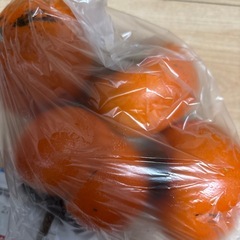 食品まとめの画像