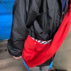 ⑰肩掛けペット移動バッグ新品の画像