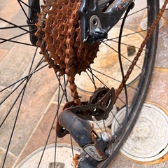 Bianchi Roma 4Ⅳの画像