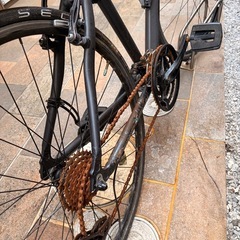 Bianchi Roma 4Ⅳの画像