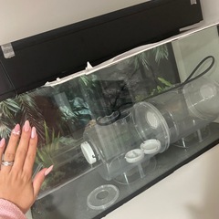 取り引き中水槽の画像