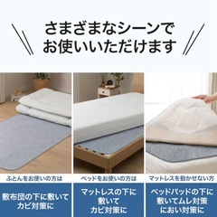 ニトリ 洗える珪藻土入り除湿シート シングルの画像