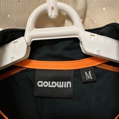 ゴールドウイン ウインドブロックインナーシャツの画像