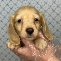 【総額15万円】まった〜り、のんびり屋さん