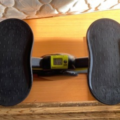 サイドステッパー フィットネスマシン の画像