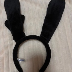 ディズニーカチューシャ２つの画像