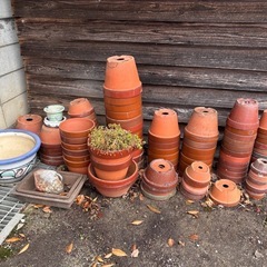 素焼きの植木鉢です。好きなだけお持ち帰り下さい。