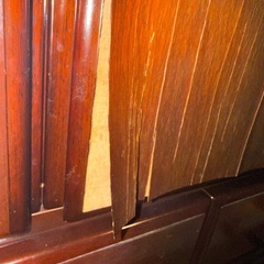 和ダンス　特大サイズの画像