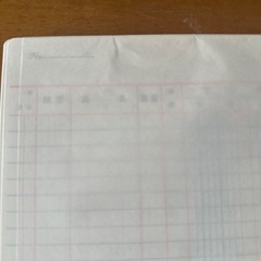 コクヨルーズリーフ　　の画像