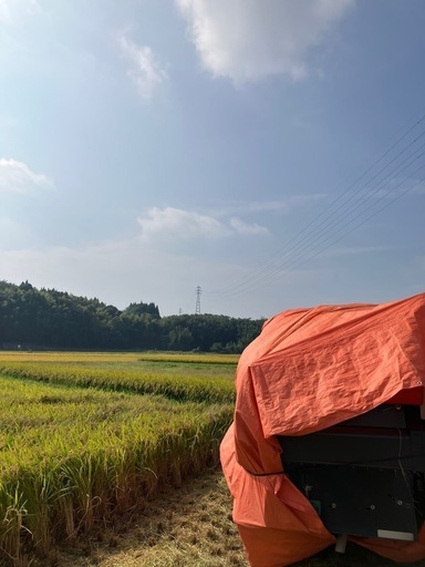 令和7年度産　ヒノヒカリ【玄米】30kg?