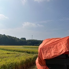 令和7年度産　ヒノヒカリ【玄米】30kg🌾の画像