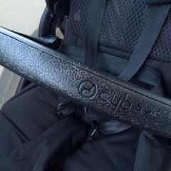 サイベックス　メリオカーボンの画像