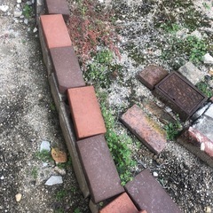 引き取り先見つかりました　レンガ　30個の画像