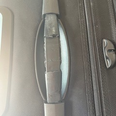 大型キャリーケース、スーツケースの画像