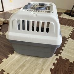 キャリーバックの画像