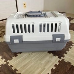 キャリーバックの画像