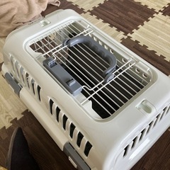 キャリーバックの画像