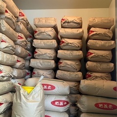令和7年度産　ヒノヒカリ【玄米】30kg🌾の画像