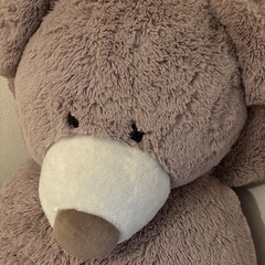 コストコ　テディベアの画像