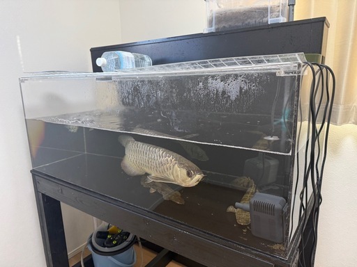 1200アクリル水槽