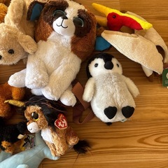 動物ぬいぐるみの画像