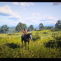 LG 有機ELテレビ 48インチ（OLED48C1PJB）の画像