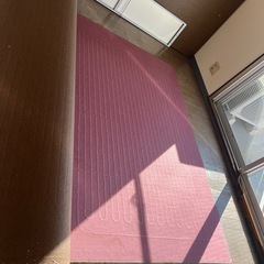 【譲渡先決定】ホットカーペット+ホットカーペットラグ（木目調）の画像