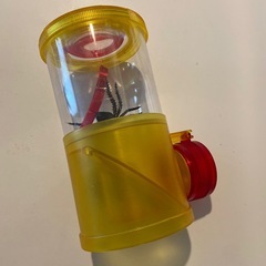 昆虫観察ボックス　トリプルの画像